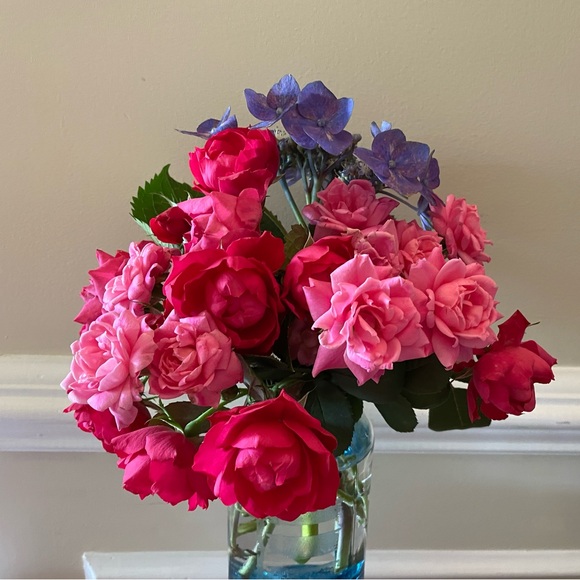 Meet your Posher, - Picture 13 of 15